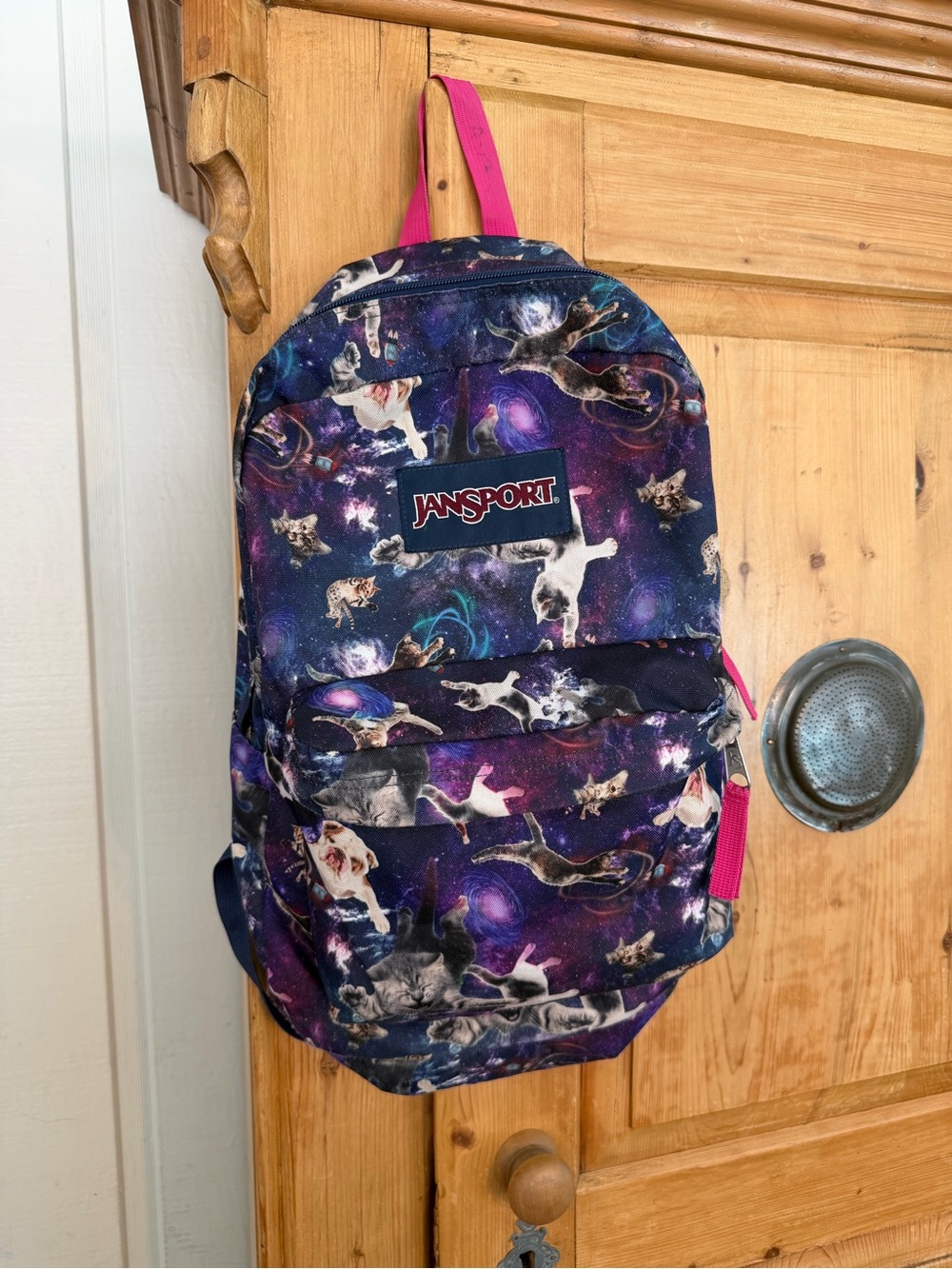 JanSport Galaxy Cats & Dogs Backpack in Purple with Pink Accents